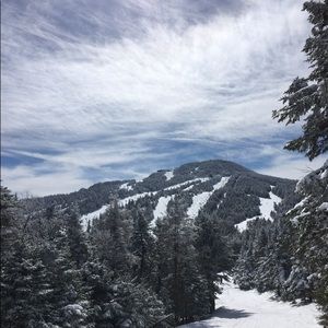 Meet your Posher, Sandy